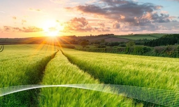 Image for Northern Ireland MF